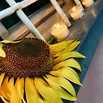 Vakantiehuis Al Fiorentino *