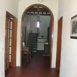 Vakantiehuis Al Fiorentino